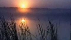 音乐短片 - 满山红叶似彩霞 古筝独奏