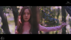 f(x) - 4 Walls