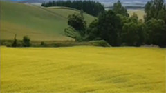 音乐短片 - 一道道水来一道道山 古筝独奏