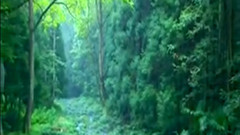 音乐短片 - 送情郎