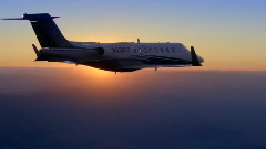 音乐短片 - Mystical Wood