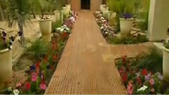 音乐短片 - 杜宇哀 古筝独奏