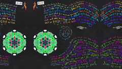 Coldplay - Birds