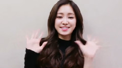 孙娜恩(Apink),Apink - APINK北美巡回演唱会宣传影像 孙娜恩采访Cut