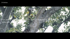 群星 - Almost Lover(无缘的爱人)