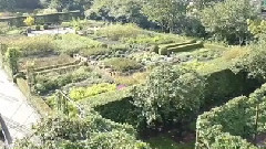 音乐短片 - De Kruidhof