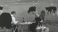 音乐短片 - Only in England