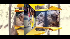 音乐短片 - Новосибирск ЗооПарк слайд