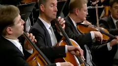 音乐短片 - 维也纳新年音乐会2016 片段