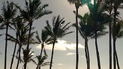 音乐短片 - 唯一萨克斯