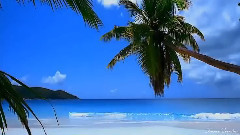 音乐短片 - Journeyman