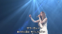 日本群星 - 若者たち