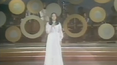 群星 - 小雨中的回忆