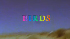 Coldplay - Birds