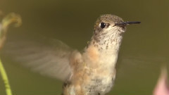 音乐短片 - 黄石阴晴