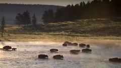 音乐短片 - 黄山篇章