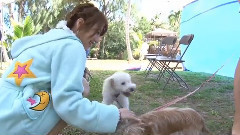 AKB48,高桥南 - AKB48 42nd Single 唇にBe My Baby Type-C DVD特典映像テラみな 〜812テラバイトから厳選した高橋みなみ傑作集〜