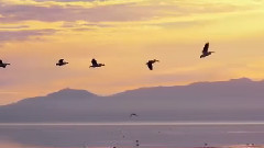 音乐短片 - 人间仙境之海之蓝(第四集)