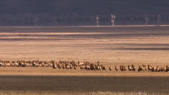 音乐短片 - 黄石结束曲