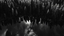 Dotan - Let The River In