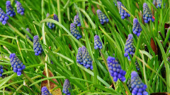 音乐短片 - Colors