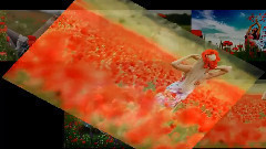 音乐短片 - МАКОВИ ПОЛЕТА ... ...