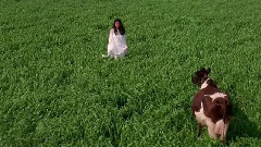 音乐短片 - 勇夺芳心