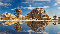 音乐短片 - 秘密花园的倒影