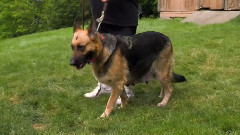 音乐短片 - Too Cute