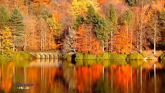 音乐短片 - Reflection