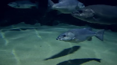 音乐短片 - City Of Glass