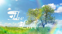 音乐短片 - Birds