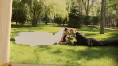 音乐短片 - Trees