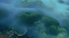 音乐短片 - Underwater Indonesia - Alor and Komodo November 2011