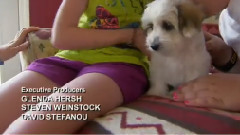 音乐短片 - 狗狗街舞