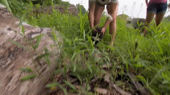 音乐短片 - Ocicats