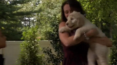 音乐短片 - 萌宠小狗狗