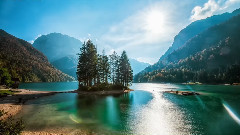 音乐短片 - 阳光天使 灵蛇庆丰年