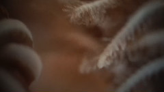 音乐短片 - Extrememacro0914