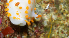 音乐短片 - GH4FocusTrackingTest