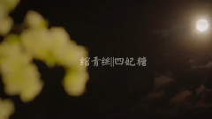 华语群星 - 绾青丝 CP乱炖四妃糖