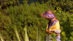 音乐短片 - ВЕТКА