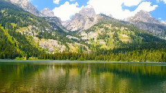 音乐短片 - 阳光天使 新年好预兆