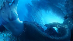 音乐短片 - Bright Colors - Blue - Merry Christmas & Happy New Year