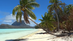 音乐短片,风景 - Palm Island