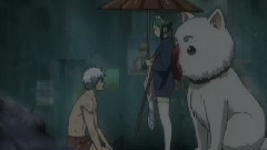 群星 - <银魂>完结MAD