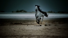 音乐短片 - Sugar