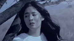 True Love - 上榜单曲 38.5