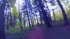 音乐短片 - Birthday!!