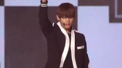 V(防弹少年团),防弹少年团 - Perfect Man